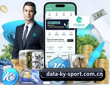 开云app APP 深度功能