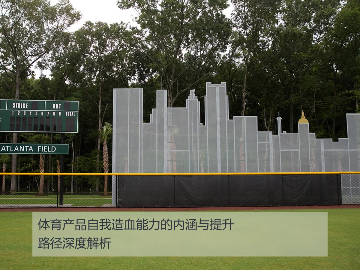 体育产品自我造血能力的内涵与提升路径深度解析
